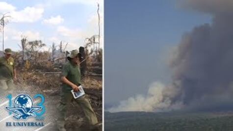 Días grises y noches amarillas, así se ve el Amazonas ante el avance del fuego