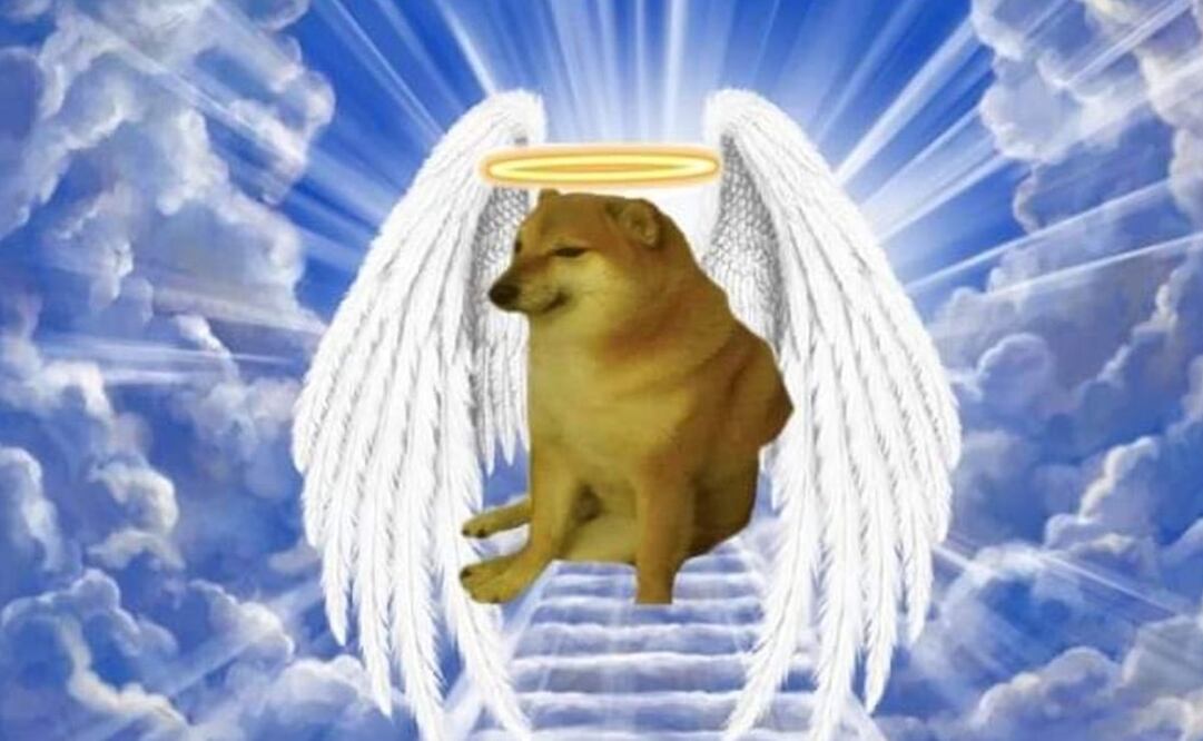 Usuarios de redes sociales crearon los mejores memes para despedir al famoso lomito. Foto: Twitter