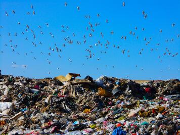 Concentración de metano alcanzó niveles récord en 2021, advierte la ONU