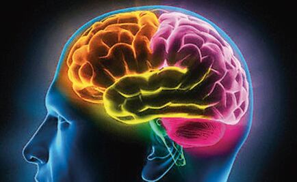 ¿Cómo se forman los recuerdos en el cerebro?