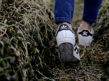 ¿Cuántos minutos debes caminar a la semana para asegurar la longevidad?
