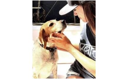 El perro de Meghan Markle que pronto será de la realeza