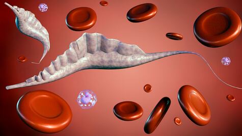 Enfermedad de Chagas; Silenciosa y mortal