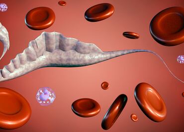 Enfermedad de Chagas; Silenciosa y mortal