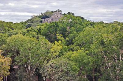 “Tren Maya despoja a pueblos originarios”