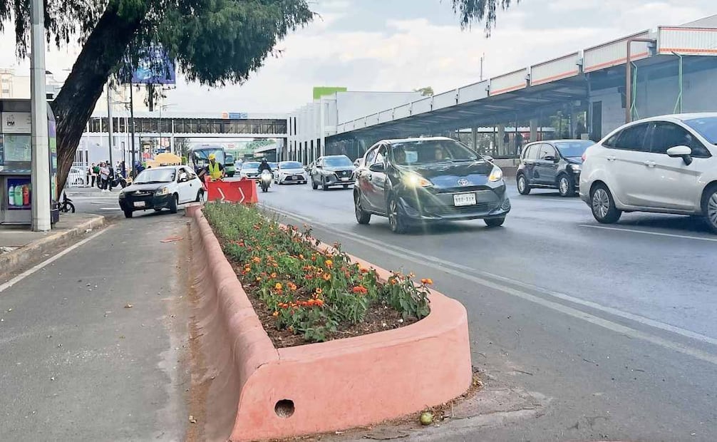 La Secretaría del Medio Ambiente informó que serán sembrados nueve tipos de plantas en las jardineras que delimitan el carril confinado. Foto: Osmar Alvarado / EL UNIVERSAL