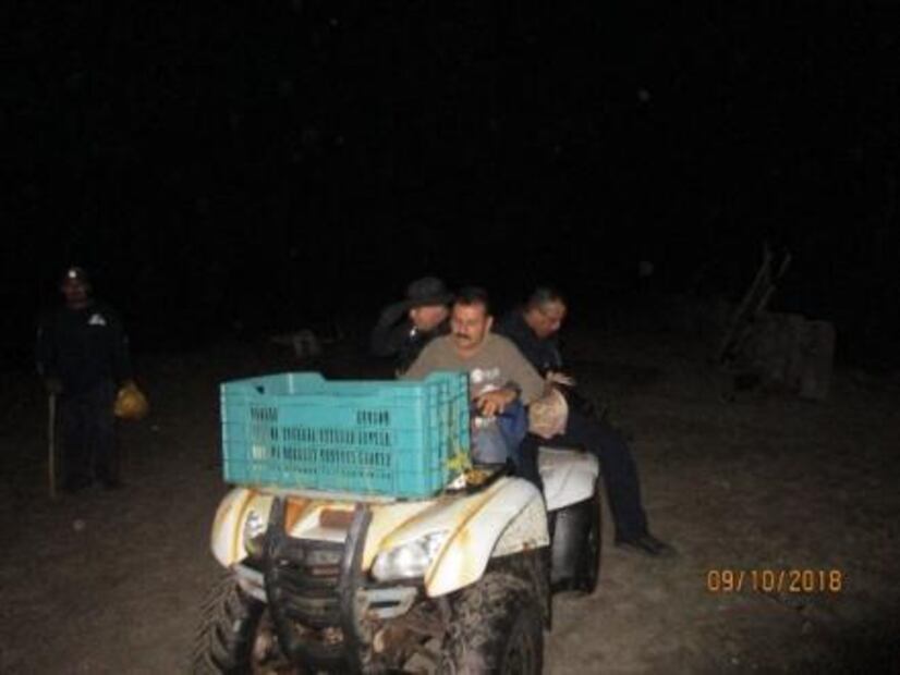 Trasladan más de 3 mil huevos de tortuga golfina a campamento en Nayarit