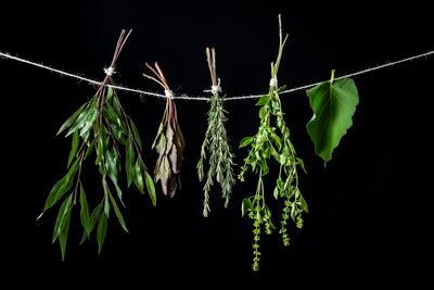 Así se usan las hierbas aromáticas en tu cocina