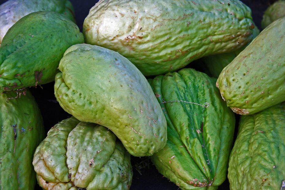 Aunque muchos prefieren pelarlo, la piel del chayote también ofrece beneficios importantes. Foto: Pixabay