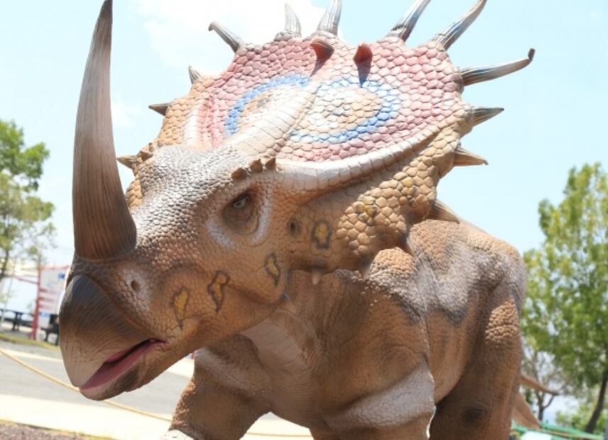 Dónde ver la nueva exposición inmersiva del gran Raffaello Sanzio