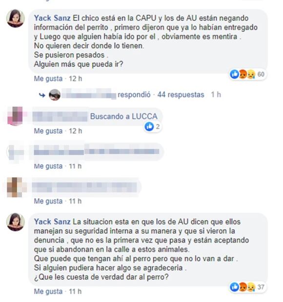 Abandonan a perro dentro de una caja en Central de Autobuses en  Puebla