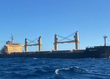 Por anclaje de buque, denuncian daño a centenas de corales en área natural protegida en Puerto Morelos