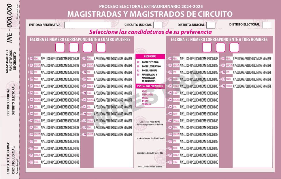 De colores y distintos tamaños, Comisión del INE aprueba boletas para elección judicial; falta voto del Consejo General