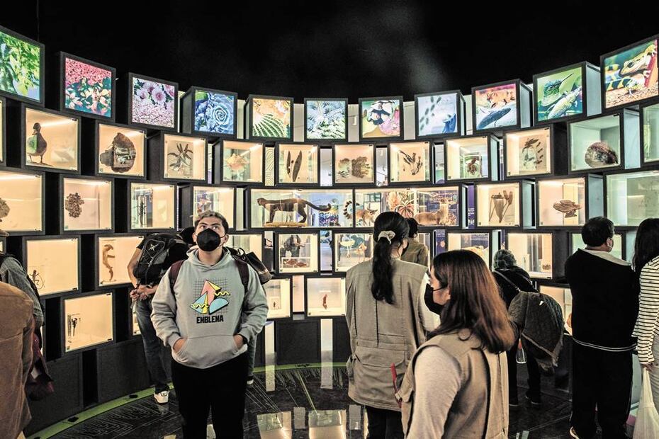 Foto: Archivo El Universal