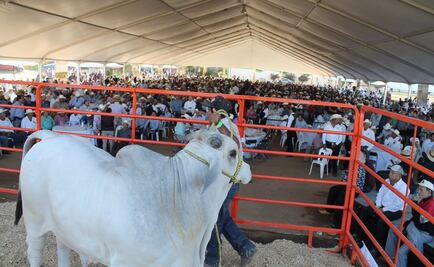 Sobrino de "El Chapo" se paseó por Feria Ganadera de Culiacán