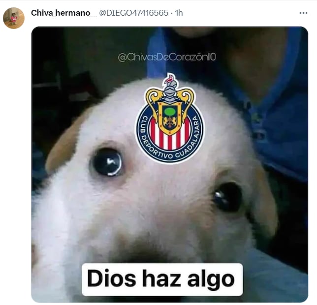 Chivas es protagonista de grandes memes luego de perder ante Monterrey