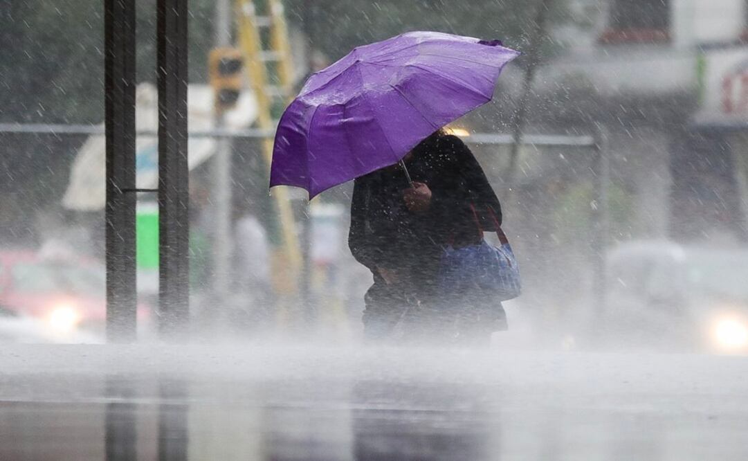 Foto: Archivo. EL UNIVERSAL