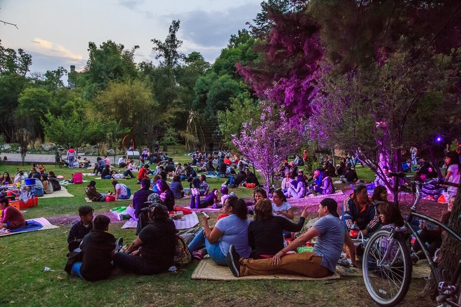 El picnic nocturno con temática de hongos es el plan perfecto para un fin de semana. Foto: Facebook Bosque de Chapultepec