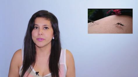 QuefishTV: Chikungunya en México