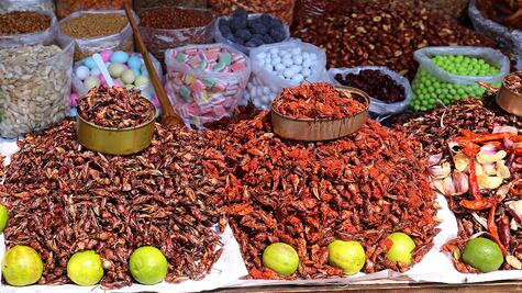 Chapulines, gusanos, moscas y alacranes, el alimento del futuro