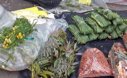 Quieren validar científicamente medicina tradicional maya