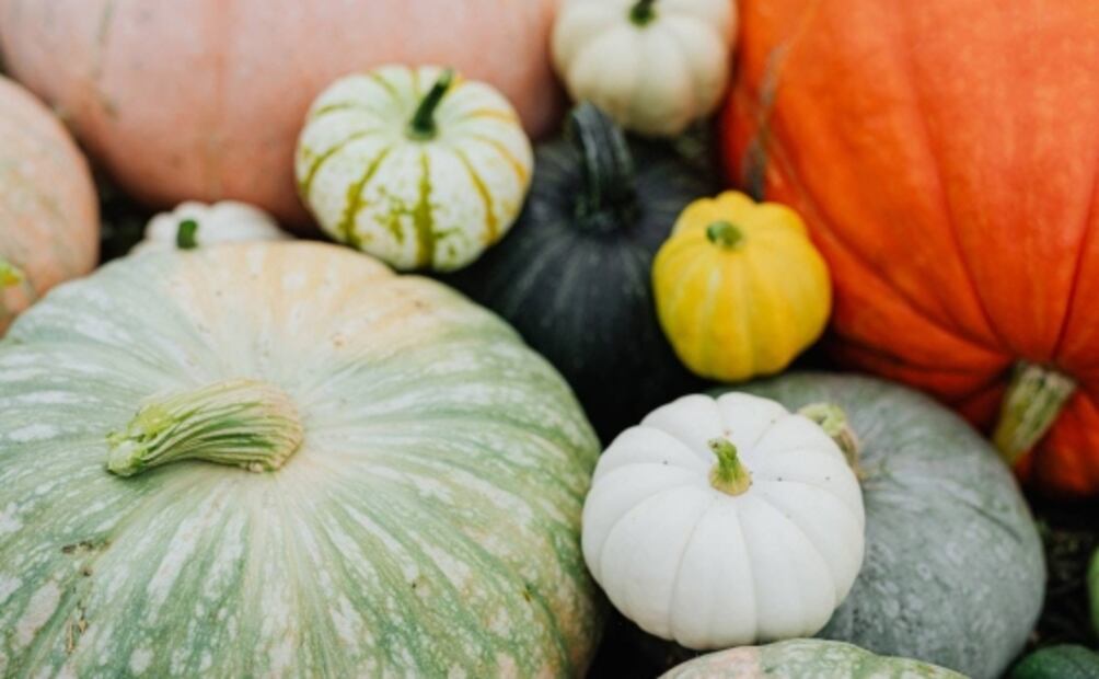 ¿Qué pasa si a diario comes calabaza de castilla?
