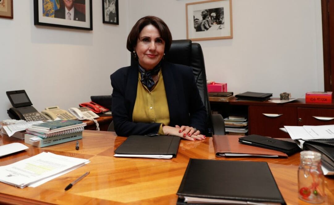 La secretaria de Gobierno de la Ciudad de México, Patricia Mercado. Foto: Archivo