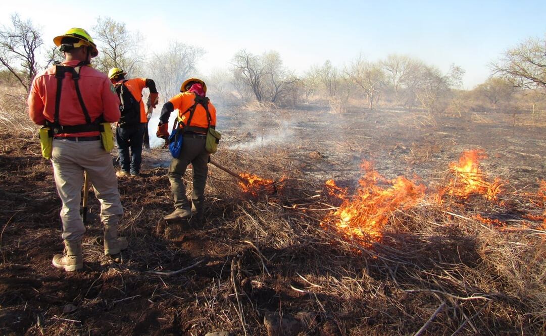El incendio inició el pasado 25 de abril y fue enfrentado por personal del Ejército Mexicano así como los integrantes de la Brigada Estatal de Manejo de Fuego. Foto: Protección Civil Sonora