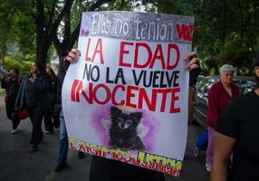 Defensores de animales se manifiestan afuera de la casa de Flor "N", acusada de matar a la perrita Moni; "que haya leyes más duras", piden