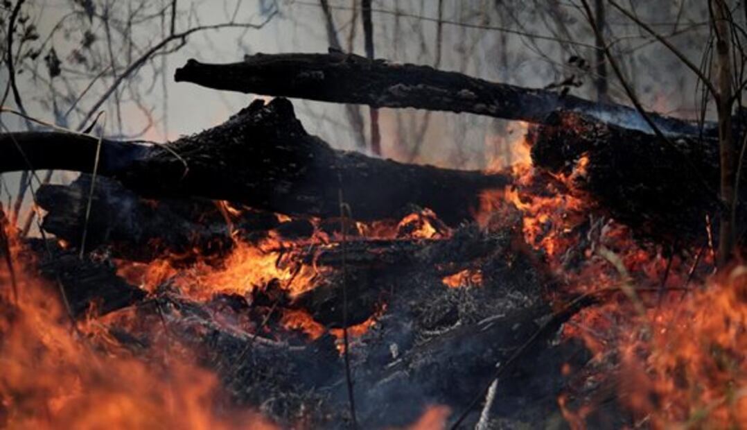 Las imágenes de los incendios registrados en la selva amazónica de Brasil