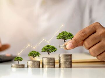 Pocos estados tienen alta capacidad para generar inversión en 2025: IMCO; Plan México, oportunidad de desarrollo regional, considera