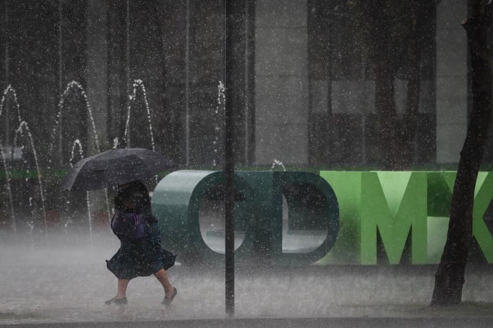 FOTO: Diego Simón / EL UNIVERSAL