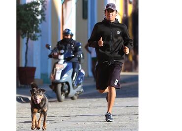 Piden que “Mazapán”, perro que baila Guelaguetza, sea imagen cultural de Oaxaca