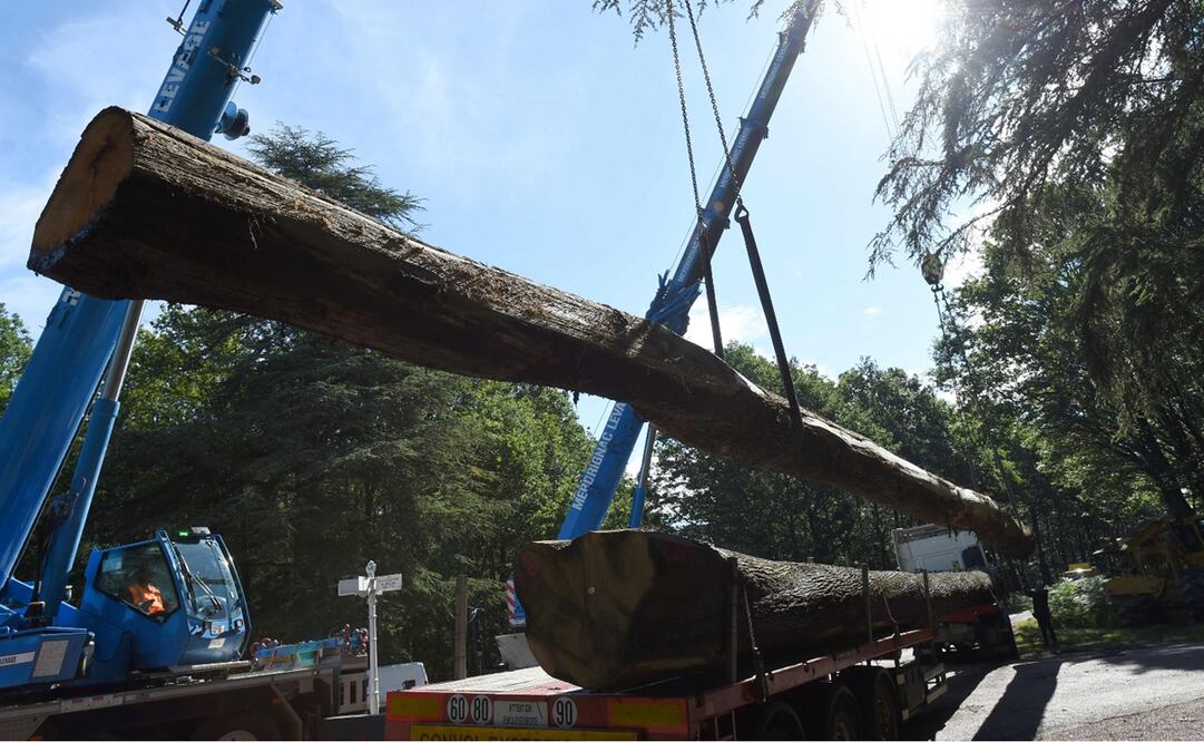 Foto: JEAN-FRANCOIS MONIER / AFP