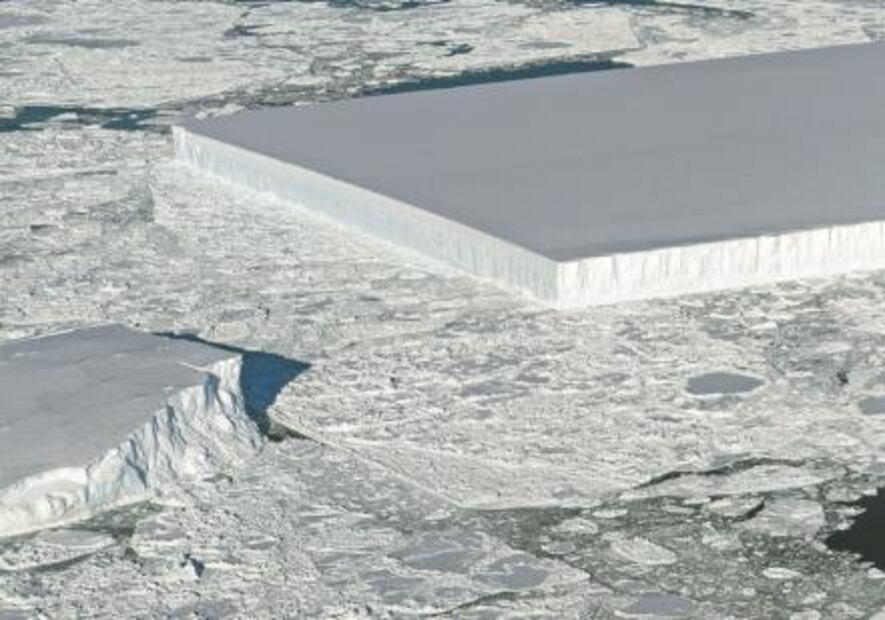 El Foco. La caravana sacó al pequeño "whitexican" que llevamos dentro