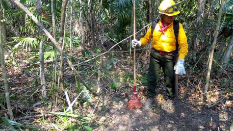 Mujeres que también combaten incendios forestales