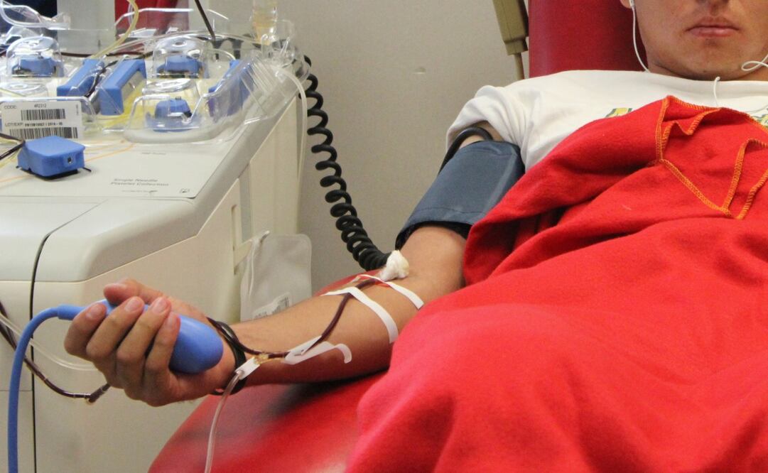 Foto: Archivo. EL UNIVERSAL