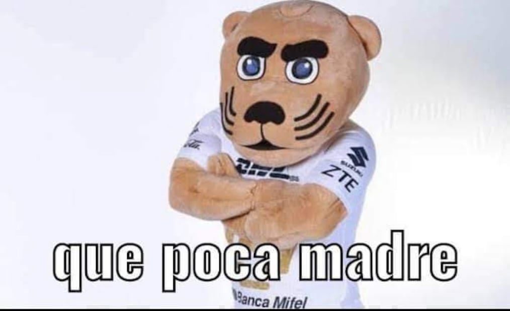 Pumas MEMES