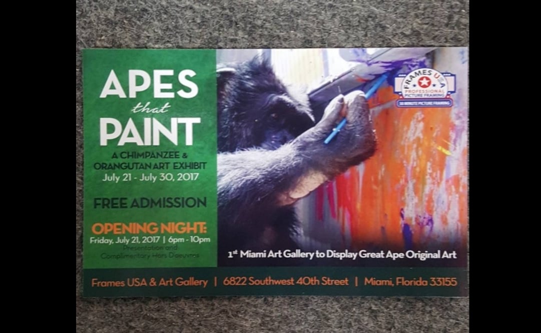 Foto: Instagram / framesusamiami