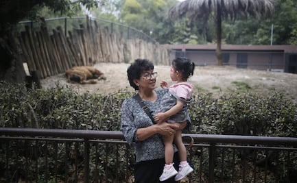 Día del Niño 2025: así celebraron las infancias junto a sus animales favoritos en el Zoológico de Chapultepec