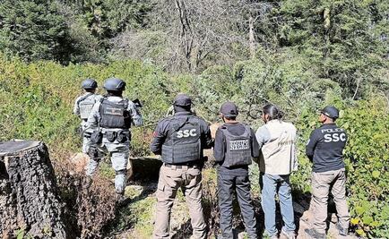 Brugada: la tala ilegal en Topilejo está controlada