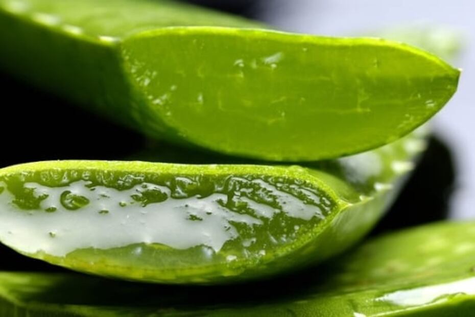5 mascarillas caseras con aloe vera para tener una piel radiante