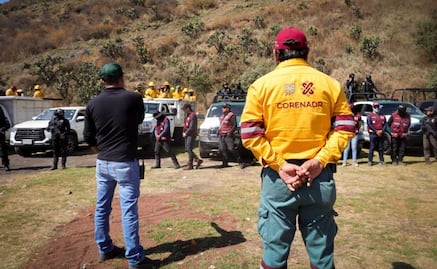 Restauran casi 5 hectáreas de suelo de conservación en Xochimilco; retiran 12 construcciones provisionales