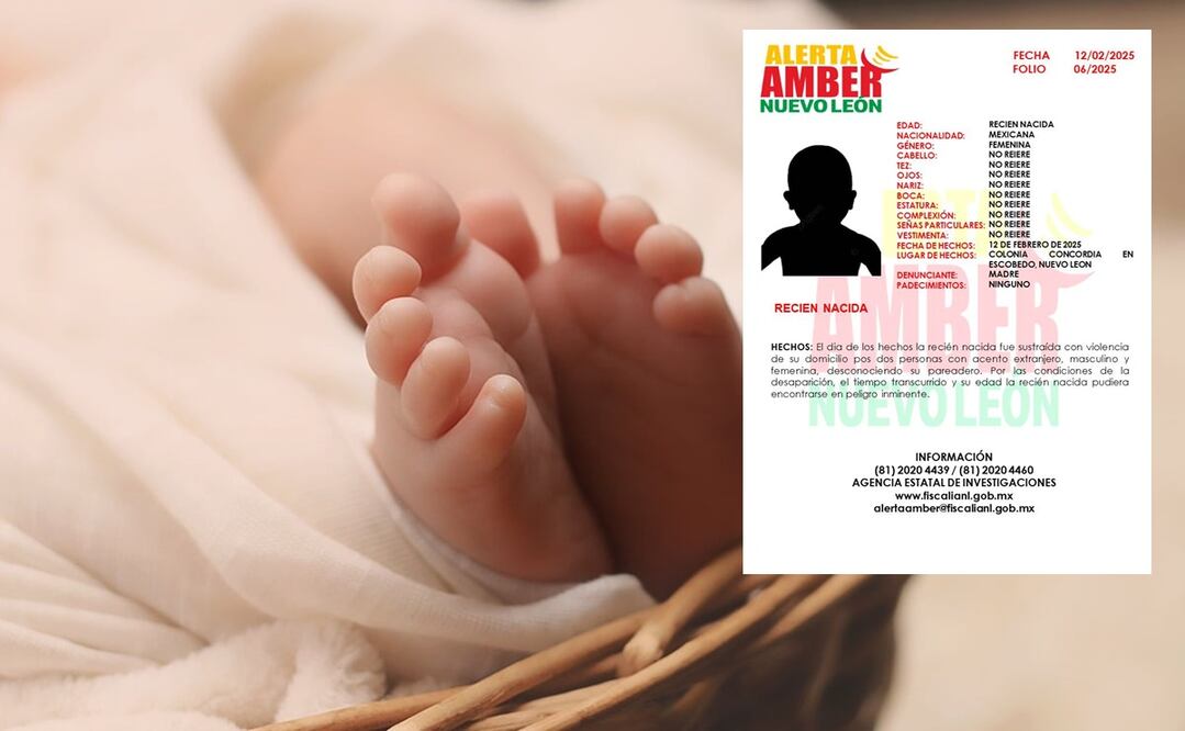 Trascendió que la madre, identificada como Silvia Amairani de 19 años, acaba de dar a luz adentro de su casa cuando le robaron a su bebé. Foto: Especial