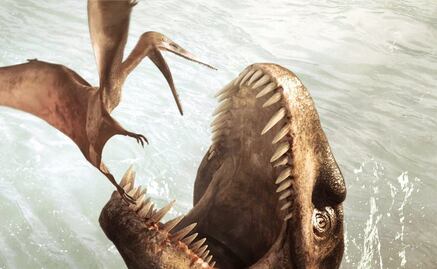 Fósil de embrión desmiente que un animal sea ovíparo