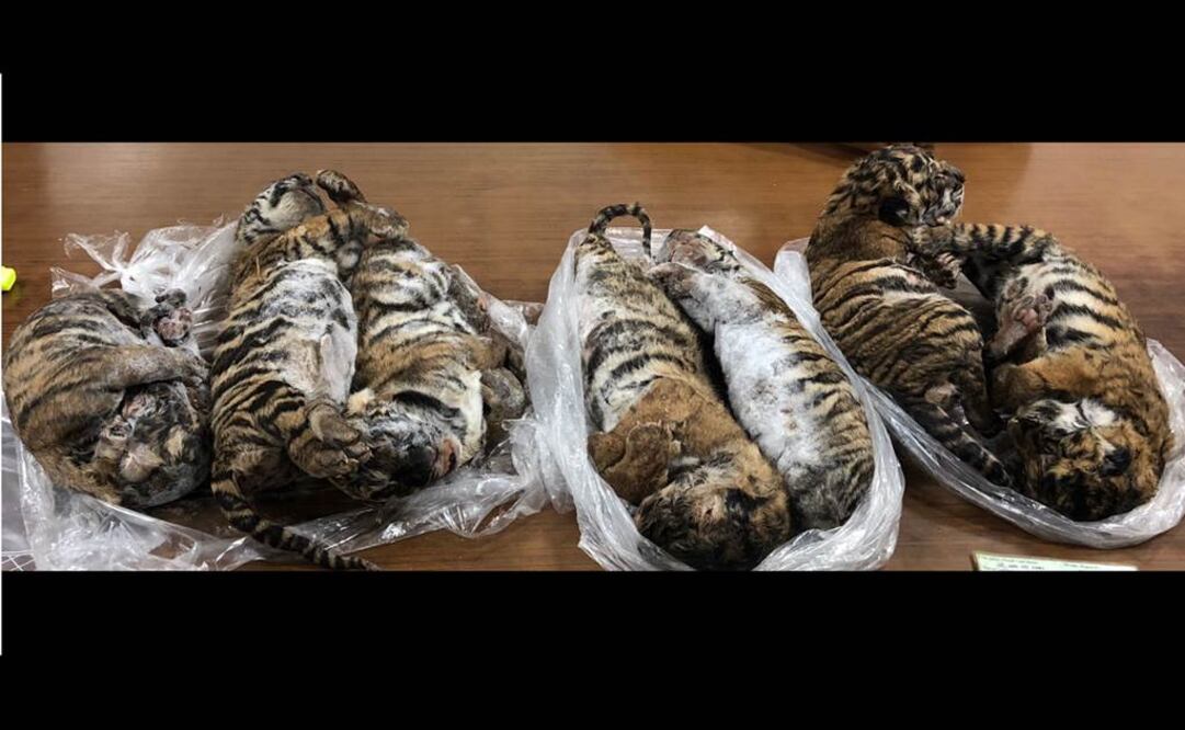 (Photo by Nam GIANG / AFP)