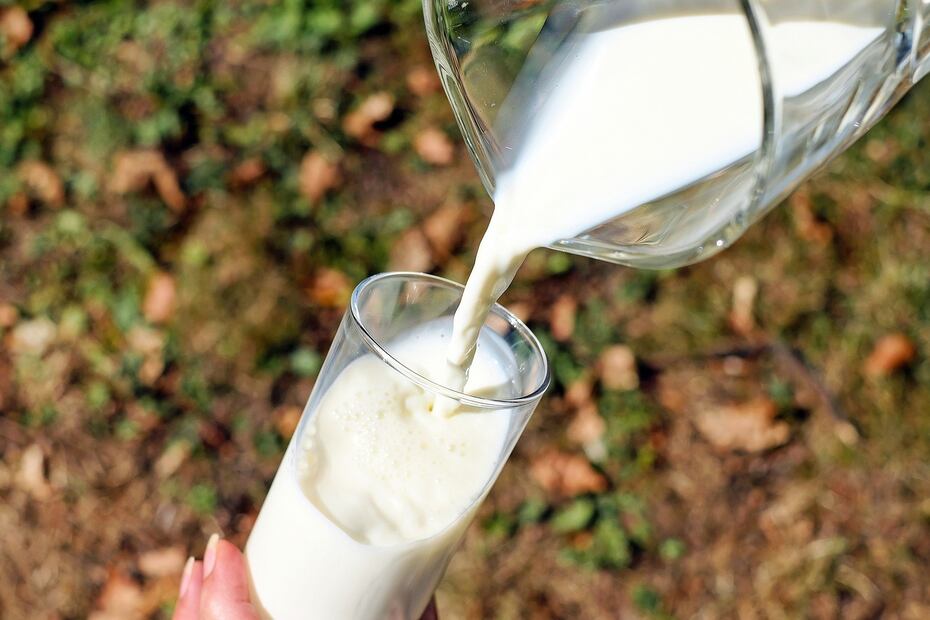 Leche de establo.