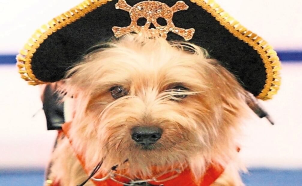 La moda de vestir perros en los años 20