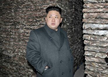 Aseguran que Norcorea tiene capacidad de alcanzar con misil a EU