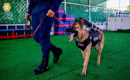 Suma la PBI a cuatro binomios caninos